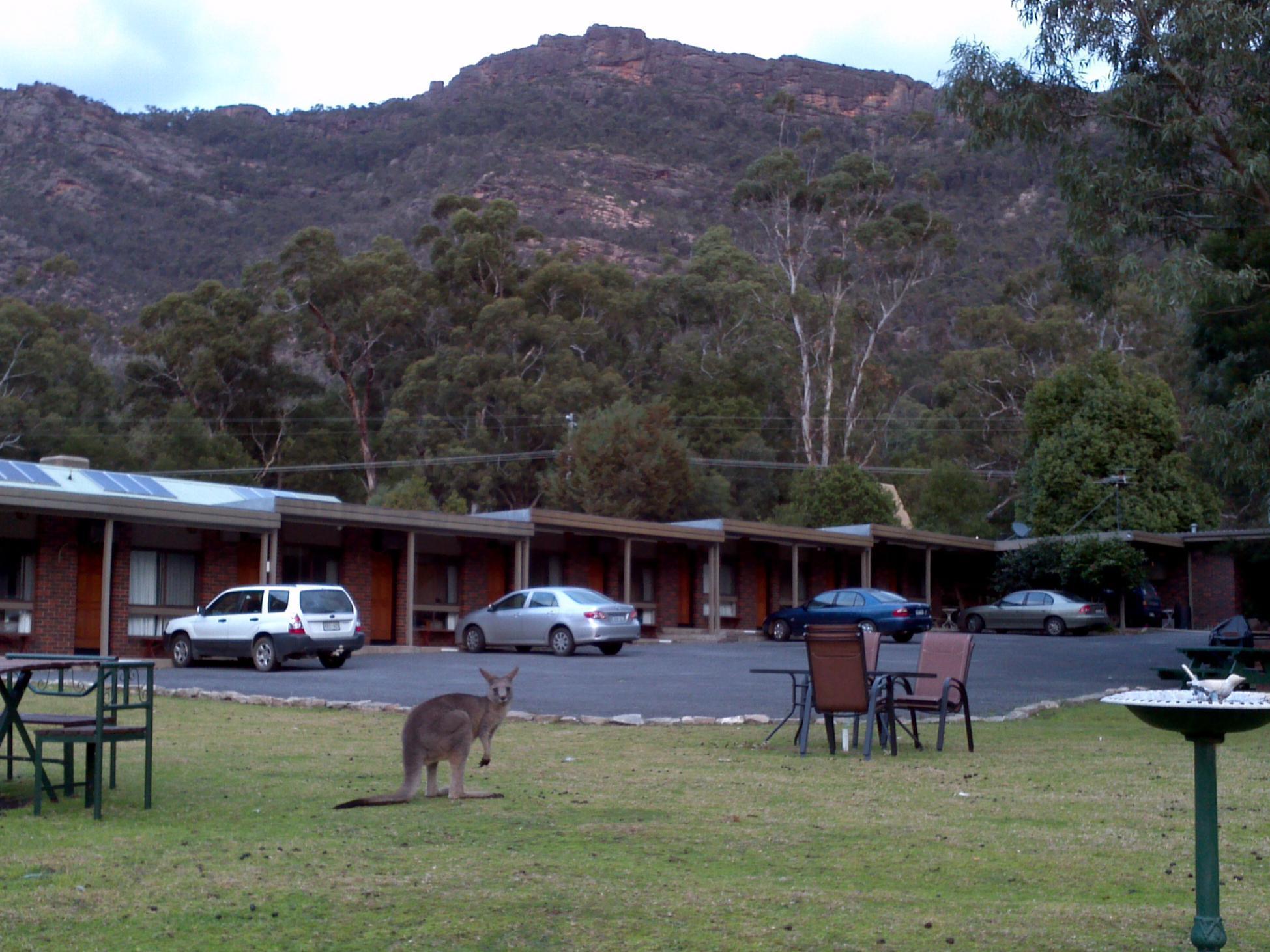 Halls Gap Motel Eksteriør bilde